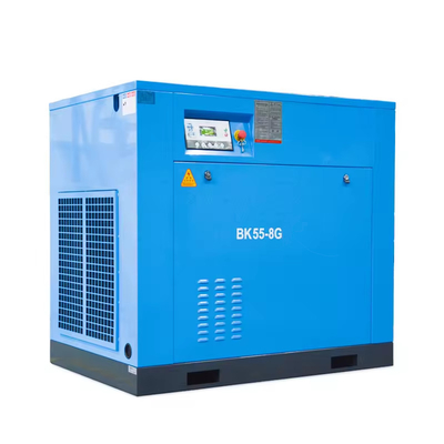 Elektryczny sprężarz powietrza 55kw 100hp 10m3/min 8 bar Prężarz gazowy obrotowy BK55-8G